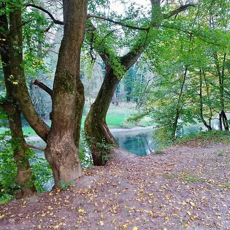 Bioappartement Mit Garten, Waldnaehe, Blick Ins Inntal 100m