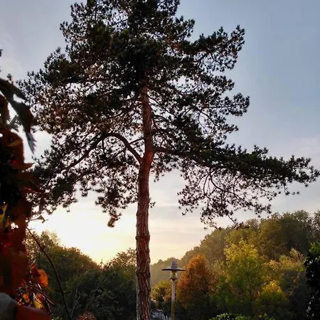 Bioappartement Mit Garten, Waldnaehe, Blick Ins Inntal 100m Appartement Simbach am Inn